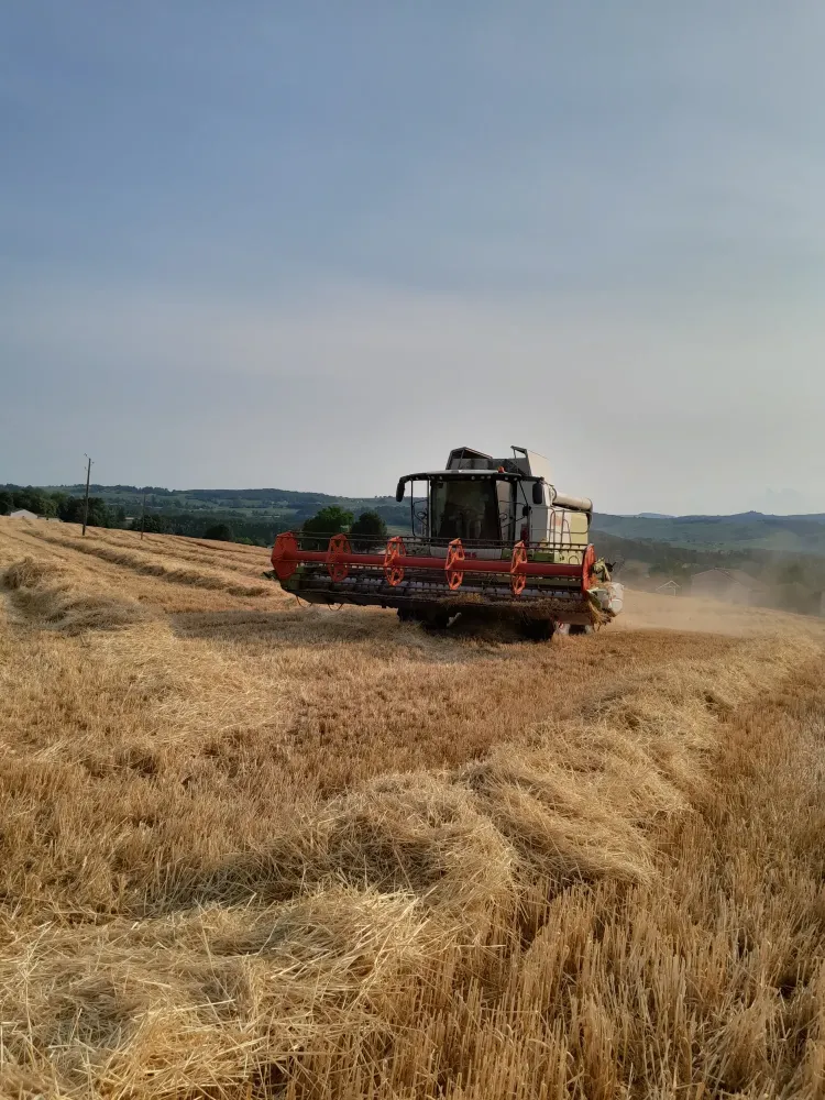 Moisson à La Roche-Vineuse