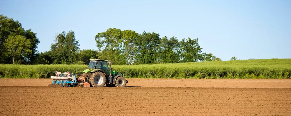 Travaux agricoles à La Roche-Vineuse